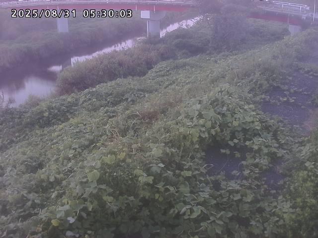 河内川１2025/08/31 9:10:00