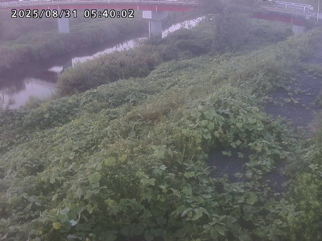 河内川１2025/08/31 9:10:00