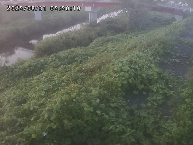 河内川１2025/08/31 9:10:00
