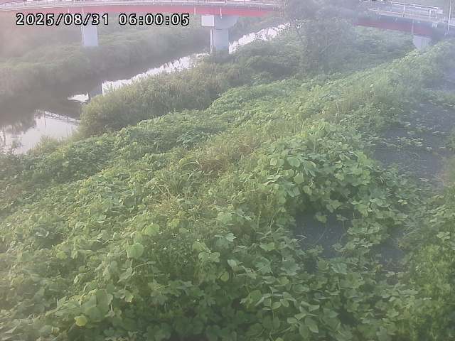 河内川１2025/08/31 9:10:00