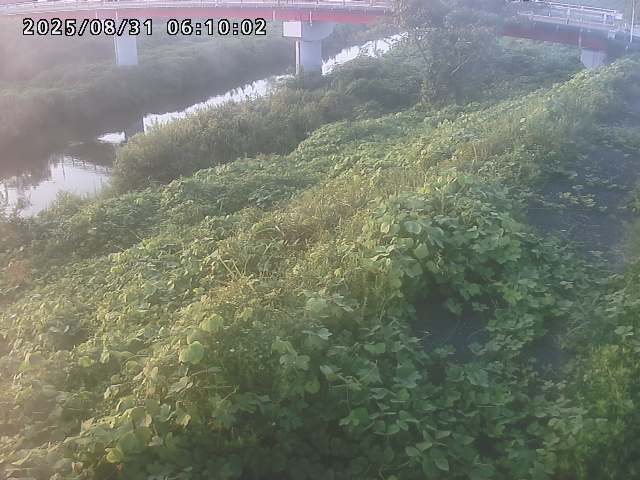 河内川１2025/08/31 9:10:00