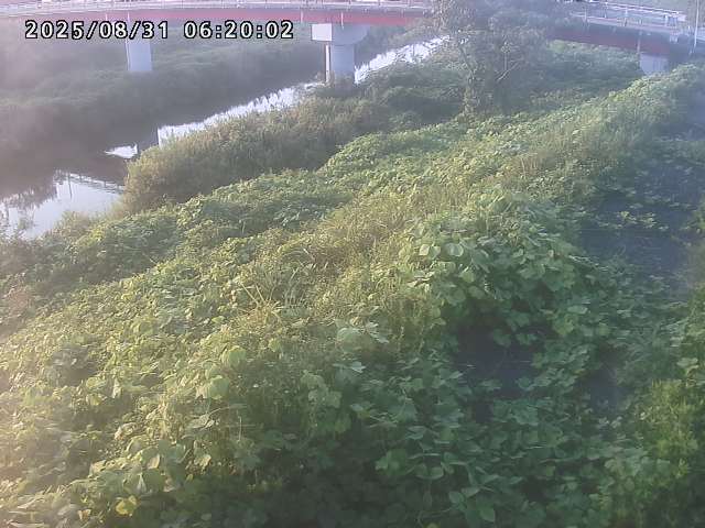 河内川１2025/08/31 9:10:00