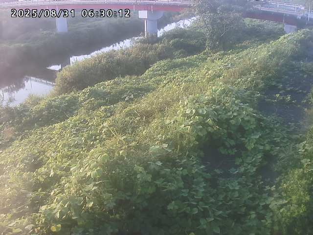 河内川１2025/08/31 9:10:00