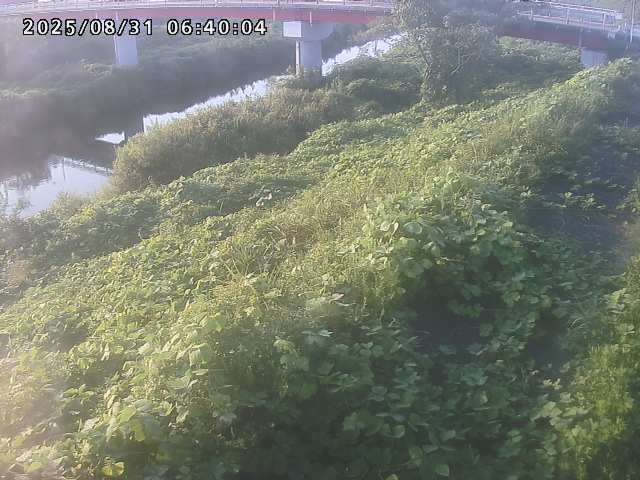 河内川１2025/08/31 9:10:00