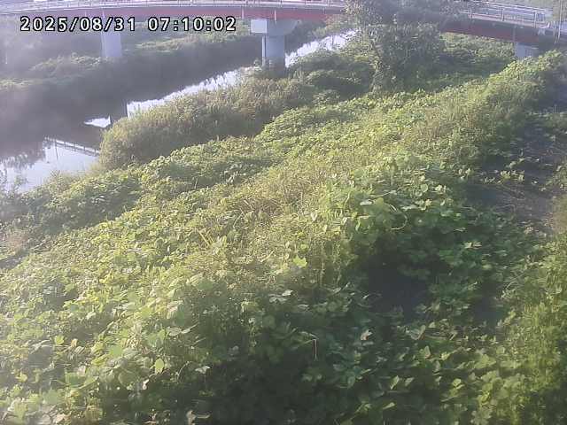 河内川１2025/08/31 9:10:00