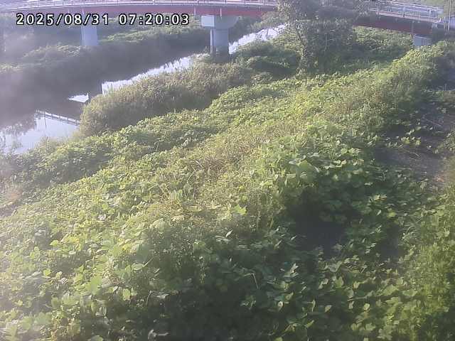 河内川１2025/08/31 9:10:00