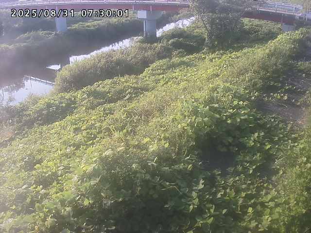 河内川１2025/08/31 9:10:00