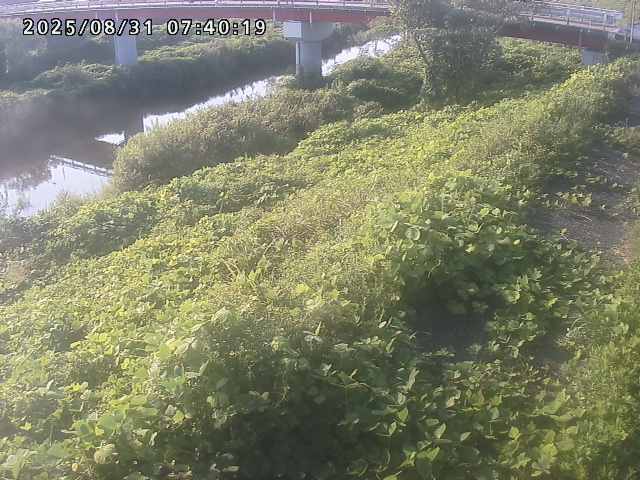 河内川１2025/08/31 9:10:00