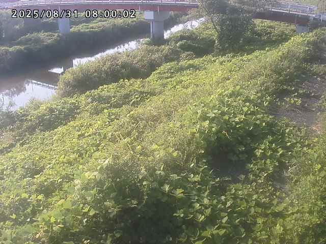 河内川１2025/08/31 9:10:00