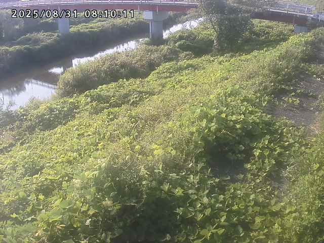 河内川１2025/08/31 9:10:00