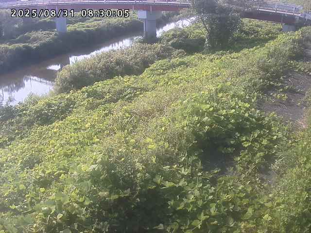 河内川１2025/08/31 9:10:00