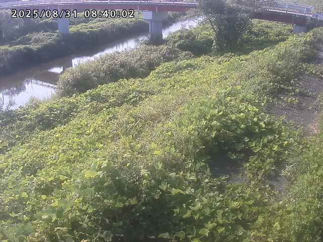河内川１2025/08/31 9:10:00