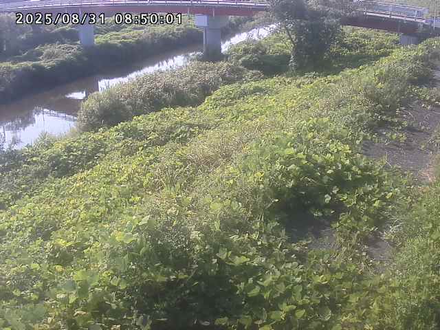河内川１2025/08/31 9:10:00