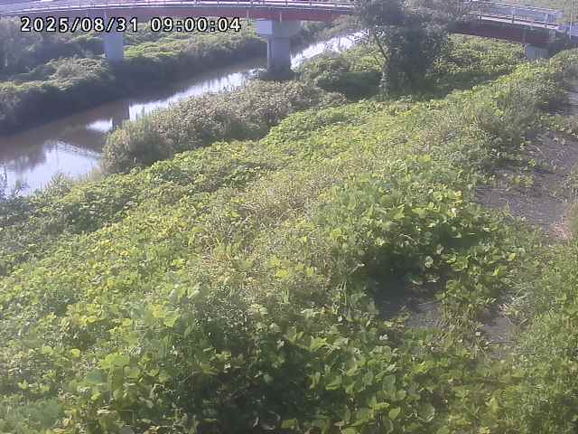 河内川１2025/08/31 9:10:00