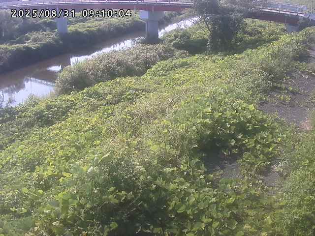 河内川１2025/08/31 9:10:00