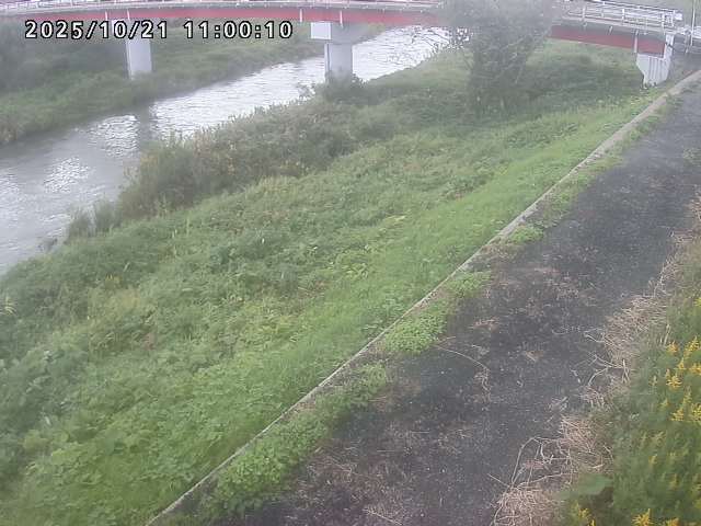 河内川１2025/10/22 11:20:00