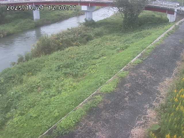 河内川１2025/10/22 11:20:00