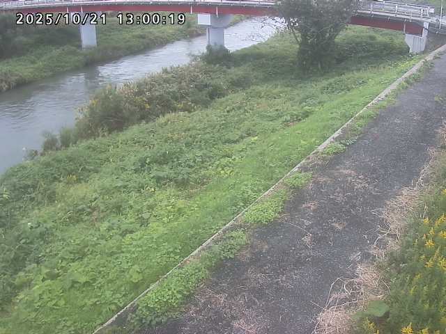 河内川１2025/10/22 11:20:00