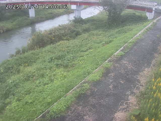 河内川１2025/10/22 11:20:00
