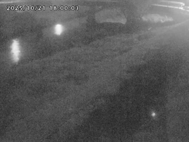 河内川１2025/10/22 11:20:00