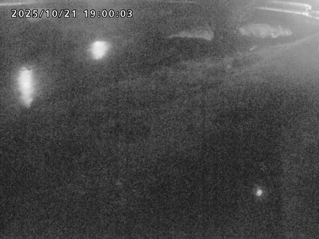 河内川１2025/10/22 11:20:00