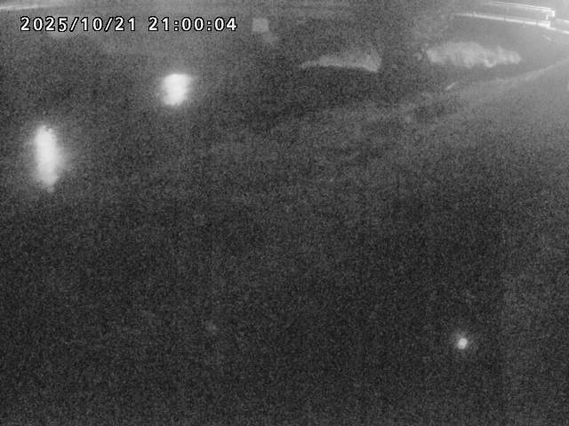 河内川１2025/10/22 11:20:00