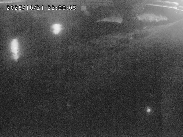河内川１2025/10/22 11:20:00