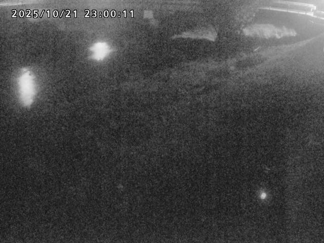 河内川１2025/10/22 11:20:00