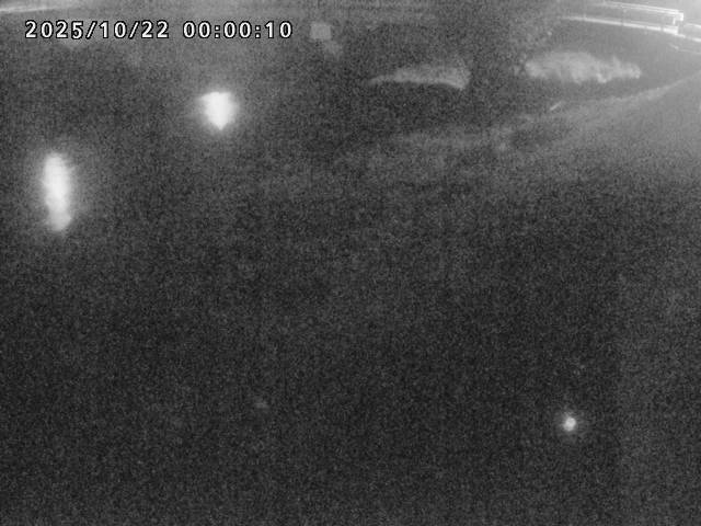 河内川１2025/10/22 11:20:00