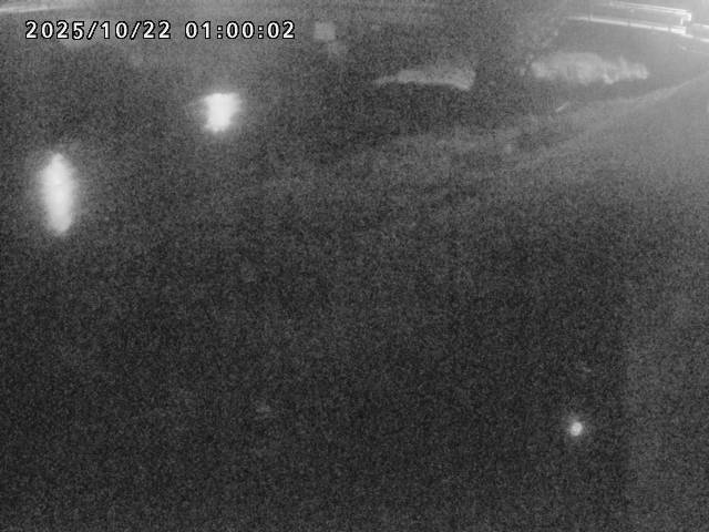 河内川１2025/10/22 11:20:00