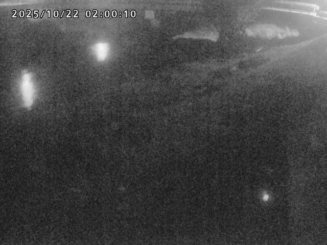 河内川１2025/10/22 11:20:00