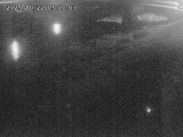 河内川１2025/10/22 11:20:00