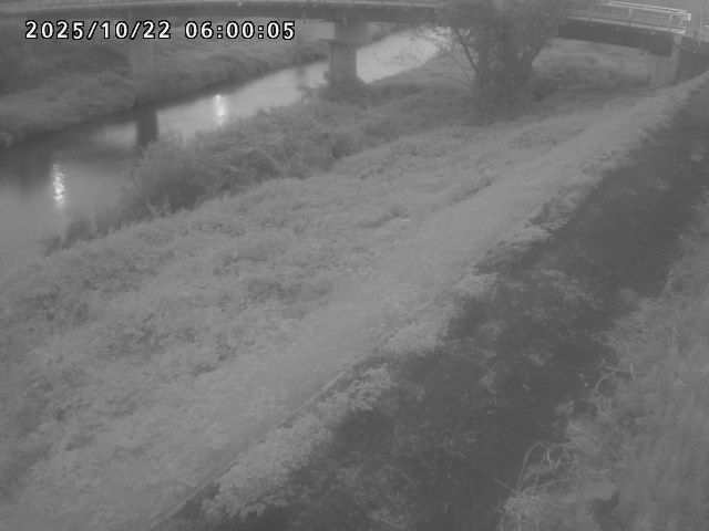 河内川１2025/10/22 11:20:00