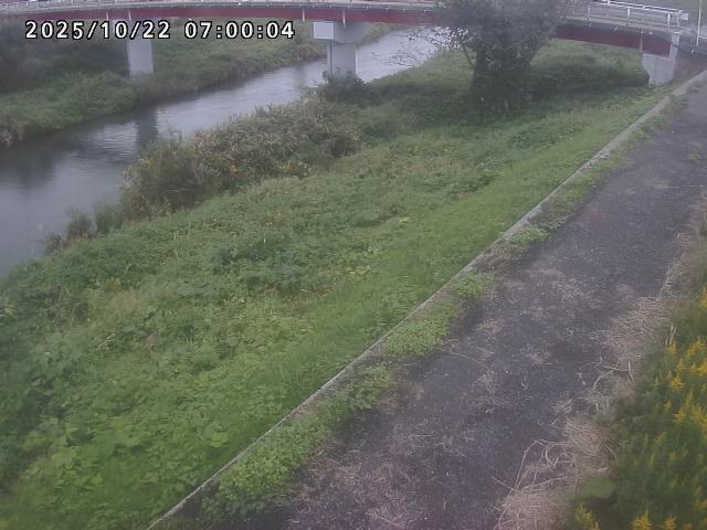 河内川１2025/10/22 11:20:00