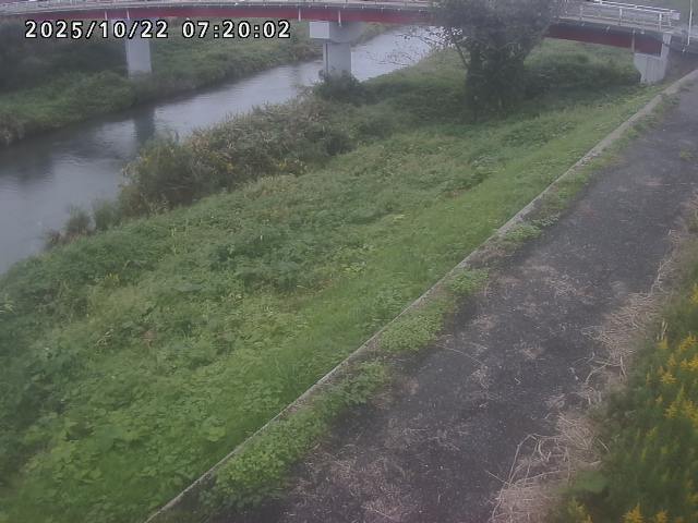 河内川１2025/10/22 11:20:00