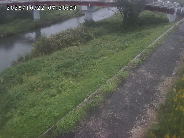 河内川１2025/10/22 11:20:00