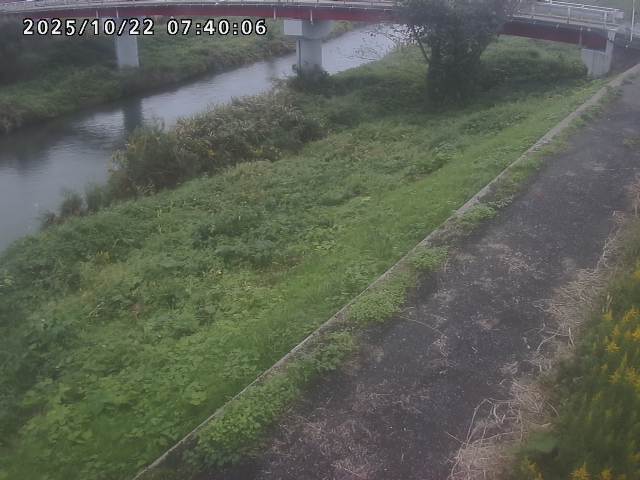 河内川１2025/10/22 11:20:00