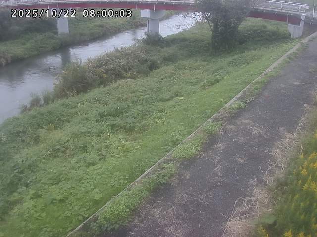 河内川１2025/10/22 11:20:00