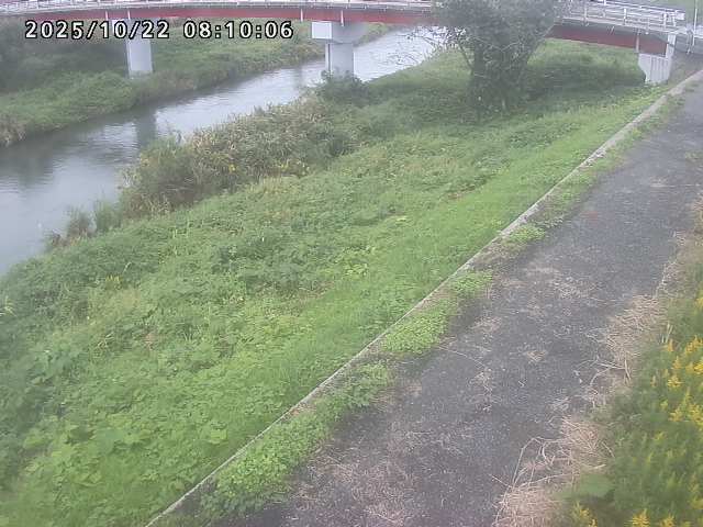 河内川１2025/10/22 11:20:00