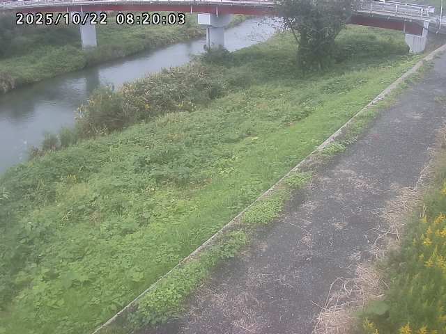 河内川１2025/10/22 11:20:00