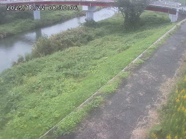 河内川１2025/10/22 11:20:00