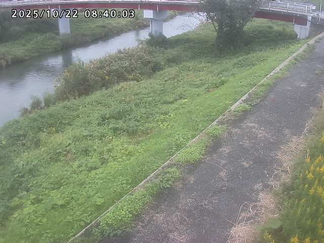 河内川１2025/10/22 11:20:00