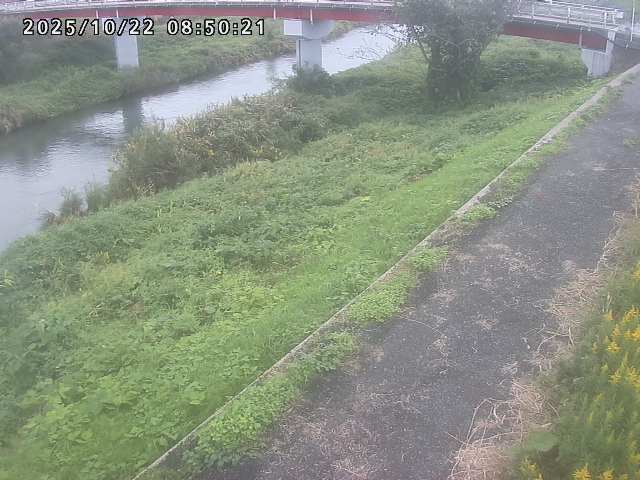 河内川１2025/10/22 11:20:00