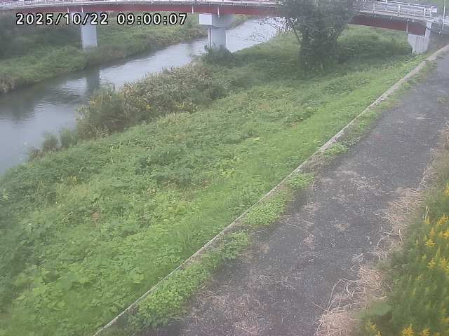 河内川１2025/10/22 11:20:00