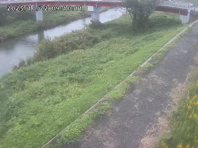 河内川１2025/10/22 11:20:00