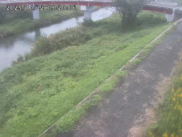 河内川１2025/10/22 11:20:00