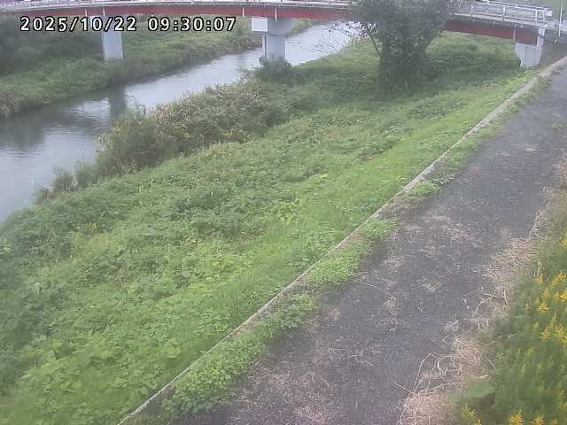 河内川１2025/10/22 11:20:00