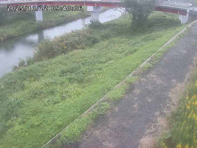河内川１2025/10/22 11:20:00