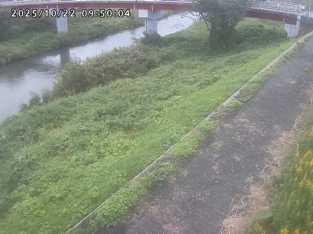 河内川１2025/10/22 11:20:00