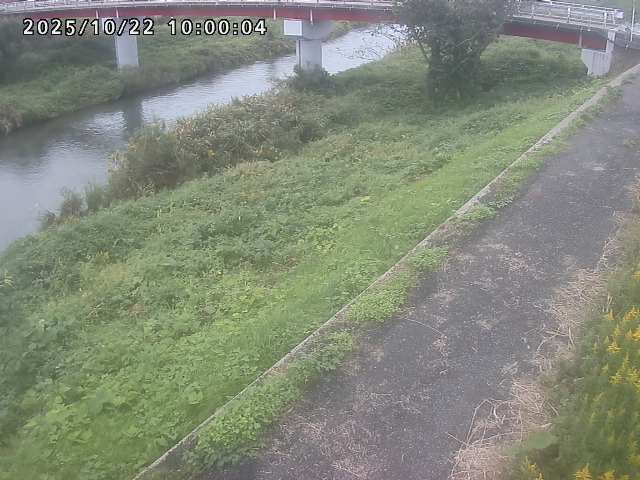 河内川１2025/10/22 11:20:00